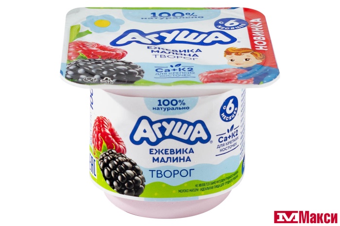 ТВОРОГ "АГУША" ФРУКТОВЫЙ 3,9% 100Г (ВИММ-БИЛЛЬ-ДАНН) (БЗМЖ)(ежевика-малина)