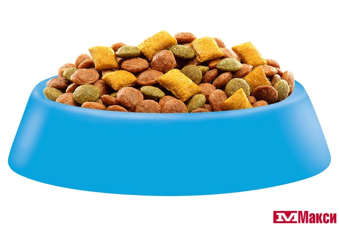 КОРМ ДЛЯ КОШЕК СУХОЙ "ВИСКАС" С НЕЖНЫМ ПАШТЕТОМ 350Г(лосось)