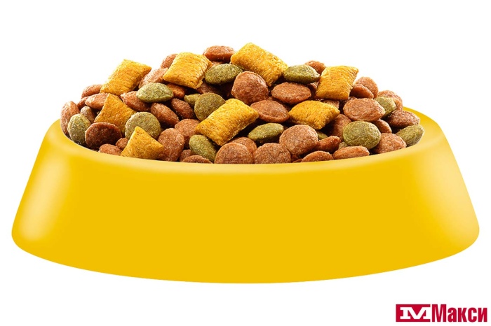 КОРМ ДЛЯ КОШЕК "ВИСКАС" С НЕЖНЫМ ПАШТЕТОМ СУХОЙ 800Г(курица/индейка)