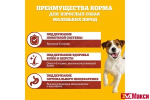 КОРМ "ПЕДИГРИ" ДЛЯ ВЗРОСЛЫХ СОБАК МАЛЕНЬКИХ  ПОРОД С ГОВЯДИНОЙ 13КГ