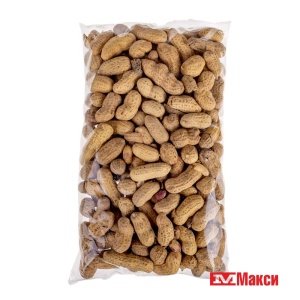 АРАХИС (ДАР СОЛНЦА) ЖАРЕНЫЙ В СКОРЛУПЕ 350Г