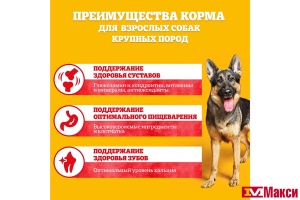 КОРМ ДЛЯ СОБАК "ПЕДИГРИ" ДЛЯ ВЗРОСЛЫХ СОБАК КРУПНЫХ ПОРОД ГОВЯДИНА 13КГ