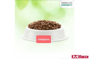 КОРМ Д/КОШЕК "PERFECT FIT" ИММУНИТЕТ 580Г(говядина, лён, голубика)