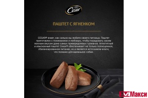 КОРМ ДЛЯ СОБАК "CESAR" 80Г ПАУЧ (паштет ягненок)
